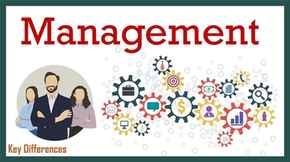 Management assignment 
