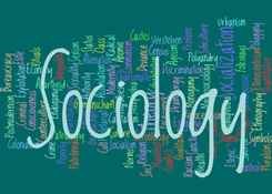 Sociology 101 Social Media Analysis 